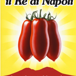 Il Re di Napoli, di Angelo Forgione Edizioni Magenes