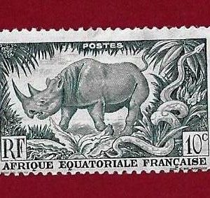 FRANCOBOLLO AFRICA EQUATORIALE FRANCESE 1947 ” motivi locali”  YT 208 MLH  € 0.20 varietà colore