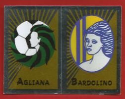 FIGURINE PANINI  originale anno 2002-03 serie Femminile  Agliana – Bardolino  n.702 Scudetto €1.10